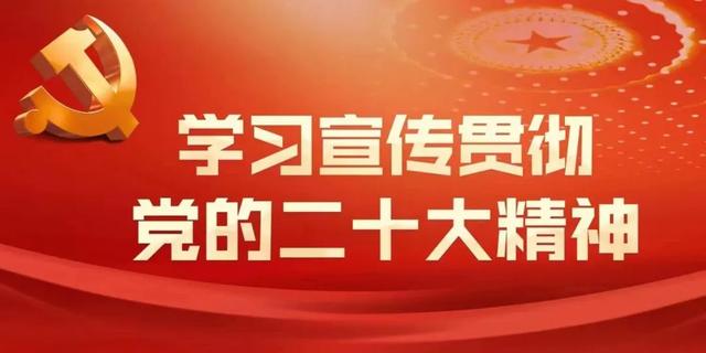 深入學(xué)習(xí)宣傳貫徹黨的二十大精神·領(lǐng)導(dǎo)干部學(xué)習(xí)筆談：以黨建引領(lǐng)提升基層社會治理效能