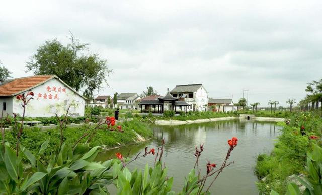 江都丁溝鎮(zhèn)黃花村：黨建引領(lǐng)，譜寫鄉(xiāng)村振興新篇章