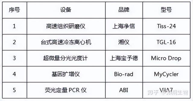 qPCR實驗方法及檢測報告模板（qpcr實驗步驟詳細(xì)）