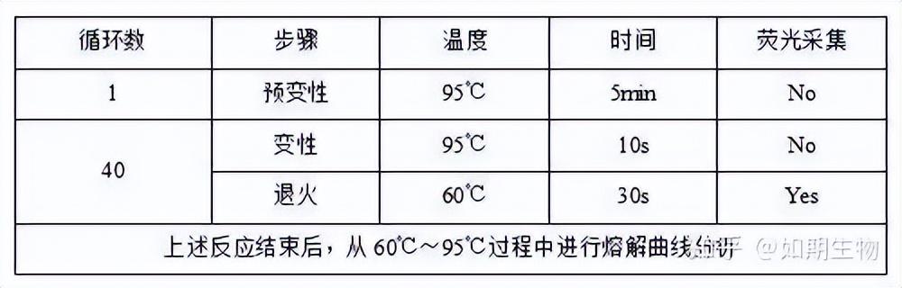 qPCR實驗方法及檢測報告模板（qpcr實驗步驟詳細(xì)）