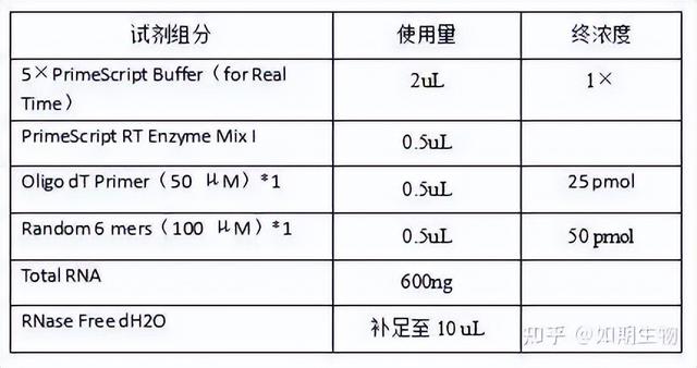 qPCR實驗方法及檢測報告模板（qpcr實驗步驟詳細(xì)）